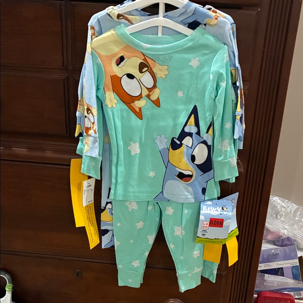 Bluey Kids Pajama Set - Mint Green and blue.  2 sets each purchase
